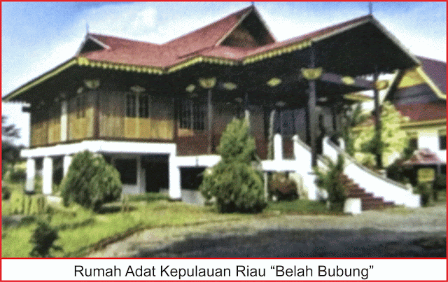 gambar rumah adat kepulauan riau