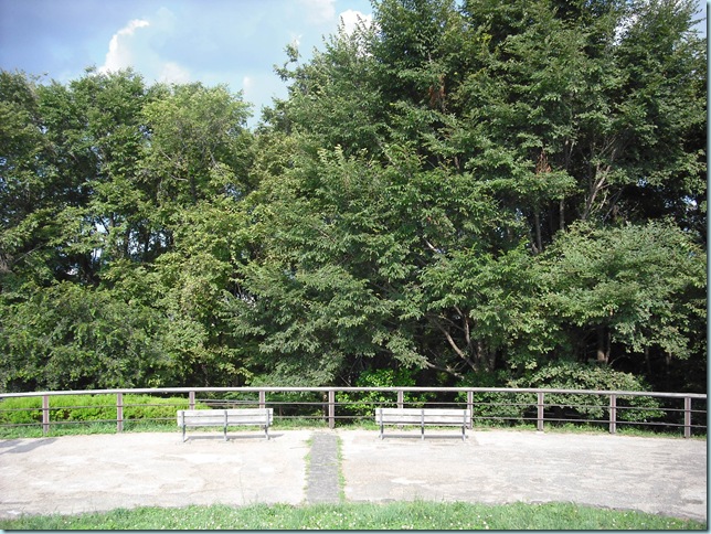 DSCF0080