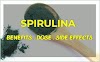 Spirulina-Miracle from the sea