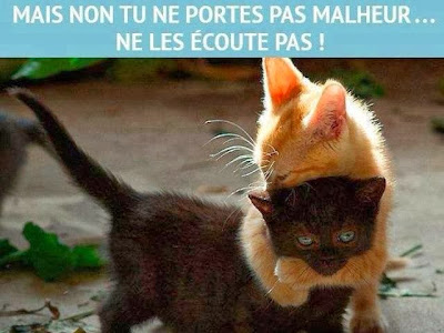 Les 200+ meilleures citation chat noir 796282-Citation humour  chat noir