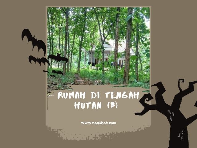 Rumah di Tengah Hutan (3)