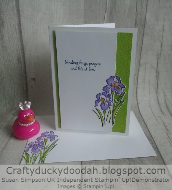 Craftyduckydoodah, Inspiring Iris, Stampin' Up, Hopping Around The World,