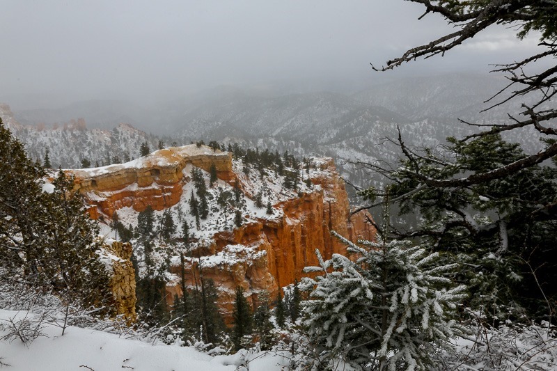 bryce2-1