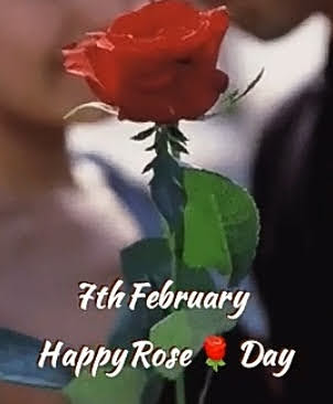 Happy Rose  Day by KoLi