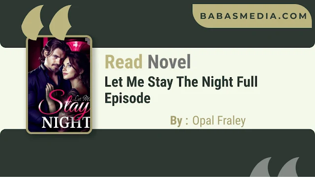 Cover Let Me Stay The Night Novel By Opal Fraley