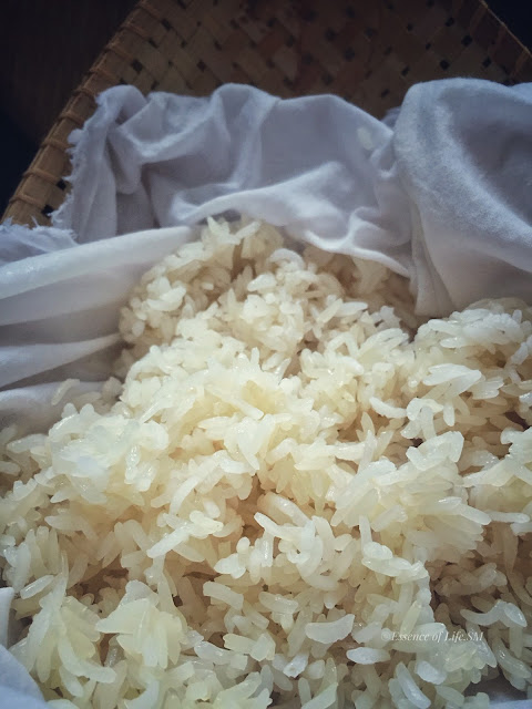 HOW TO COOK STICKY RICE/GLUTINOUS RICE