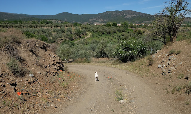 Jérez del Marquesado, zona de los Rubiales