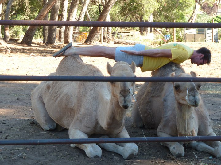 planking craze pics. 2010 on the planking craze