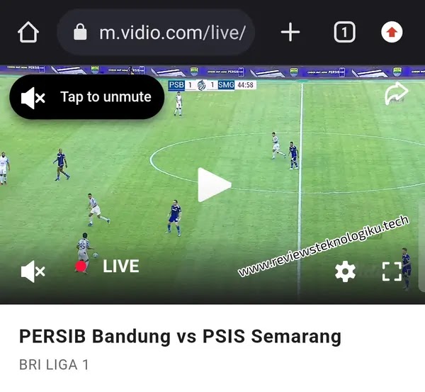 cara nonton bri liga 1 di vidio