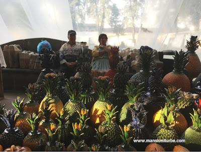 Mexican Pottery: Clay Pineapples of San José de Gracia