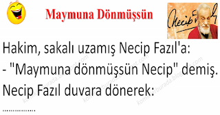 Maymuna Dönmüşsün - Karışık Fıkralar - Komikler Burada