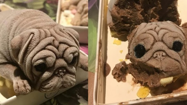 Es Krim Bentuk Anjing Buat Pengunjung Kagum