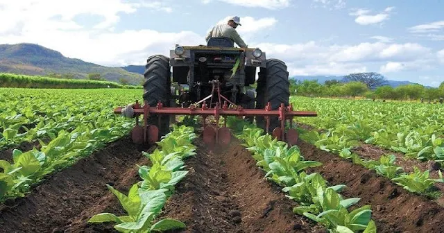 Sector Agropecuario