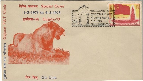 lion2