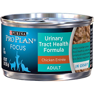 Purina Pro Plan Focus Canned Cat Food, Pack of 24