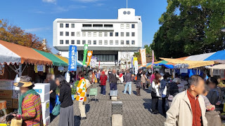 人文研究見聞録：阿波の狸まつり ［徳島県］