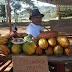 MUNICÍPIO POUCO AJUDOU NO FESTIVAL DO CACAU