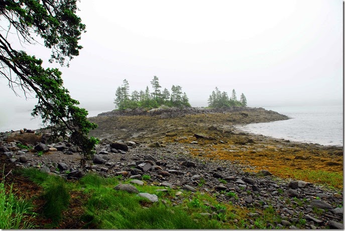 Low Tide