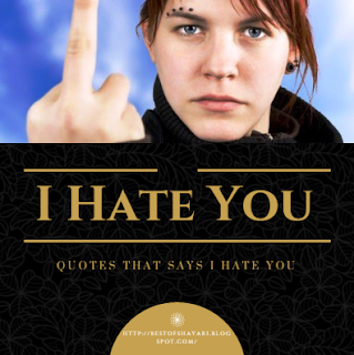 I Hate You Quotes