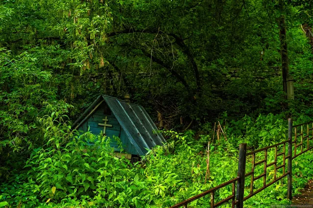 Здание утопающее в растительности с крестом