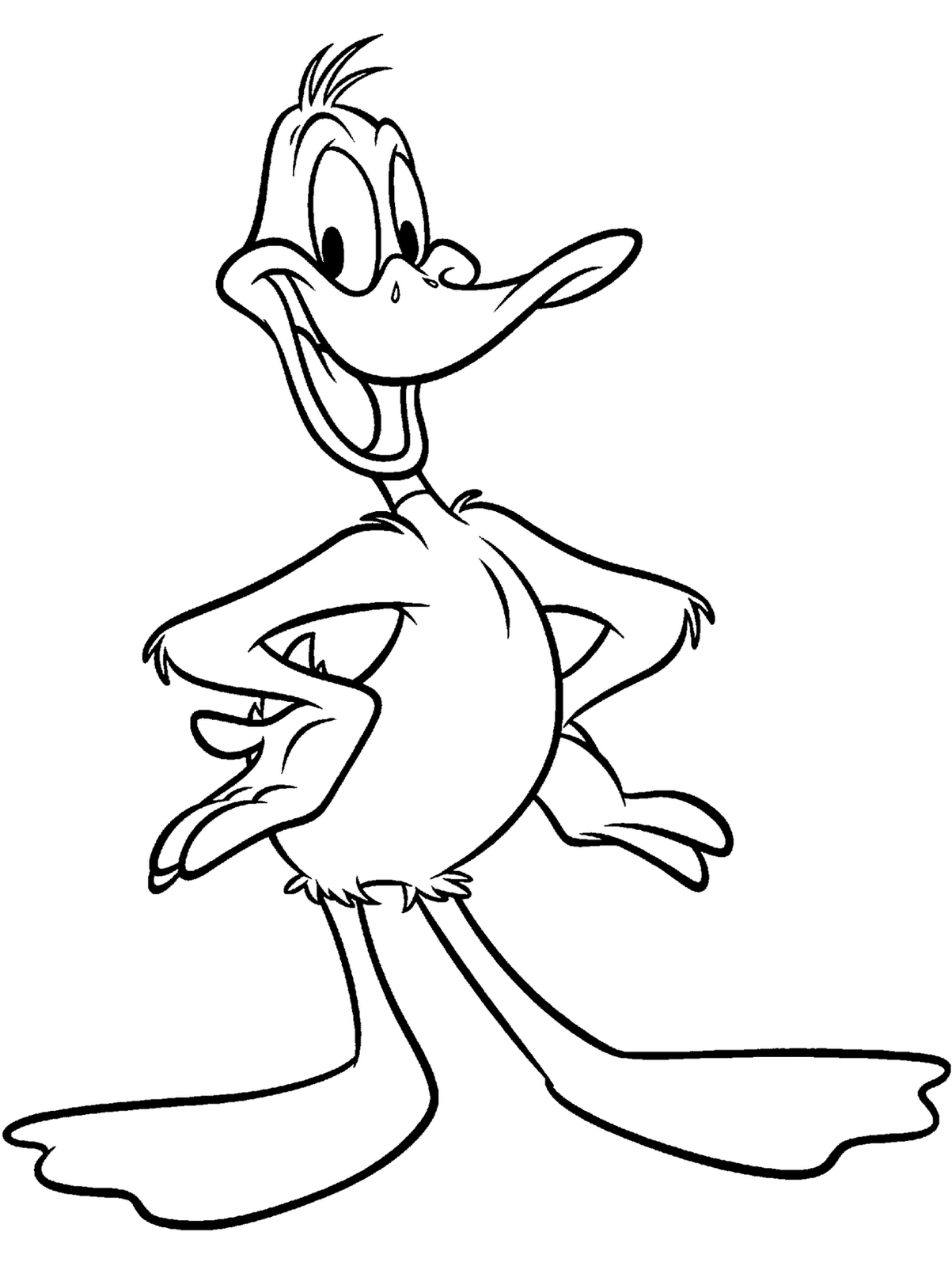 Daffy duck coloring pictures ~ Coloring