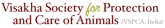 VSPCA Banner