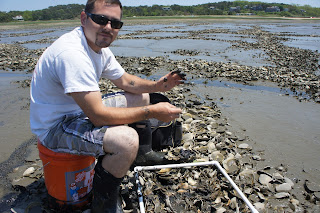 Jesse Bean Intern Mass Oyster Project Photo