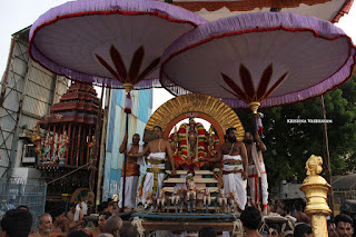 Aani,Suirya PRabhai, Purappadu , Vahanam,Sri Theliya Singar, Yoga Narasimhar,Brahmotsavam ,Purappadu,Video, Divya Prabhandam,Sri Parthasarathy Perumal, Triplicane,Thiruvallikeni,Utsavam,