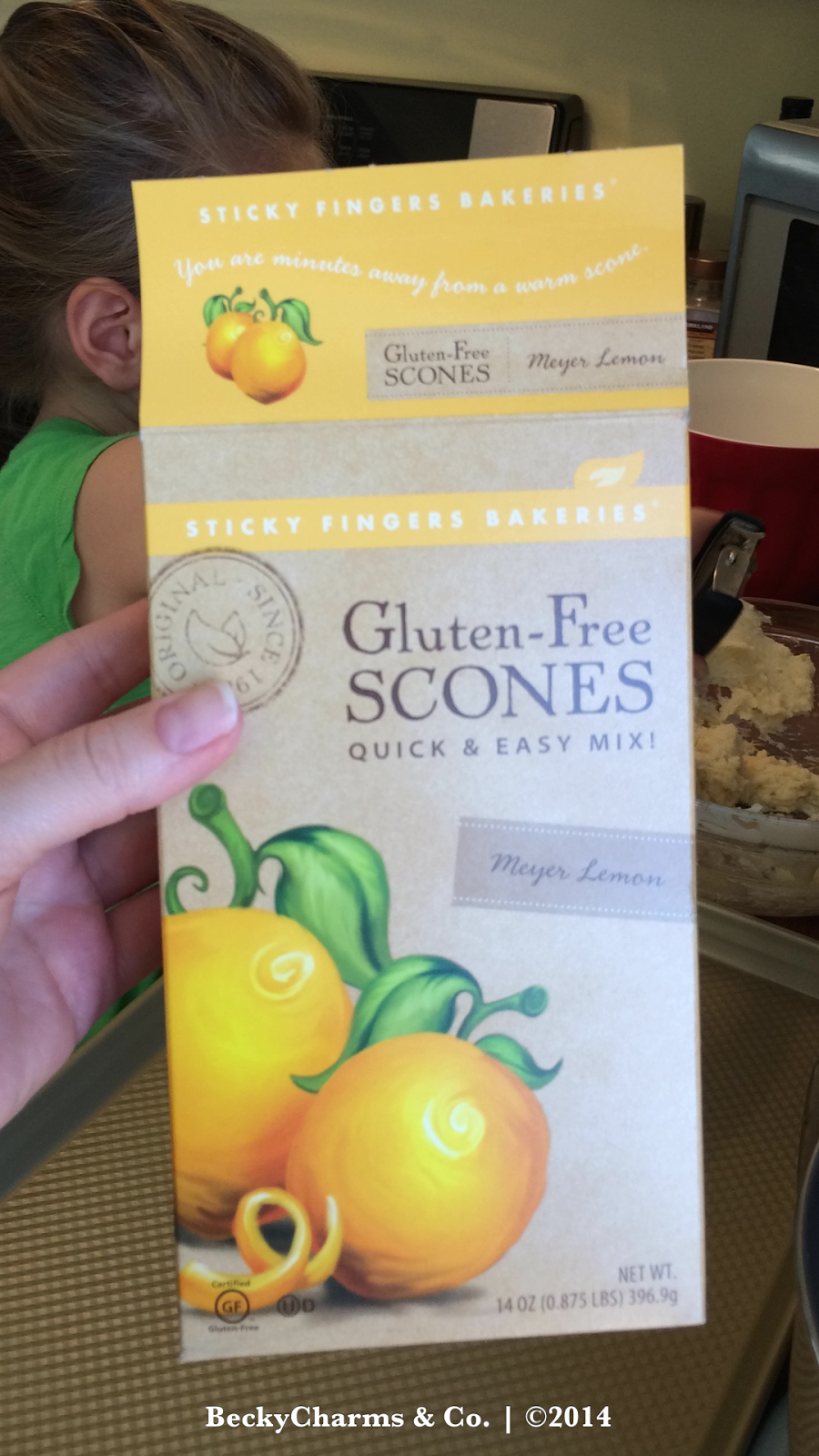 Mini Gluten Free Meyer Lemon Scones with TinyBaker 2014 by BeckyCharms