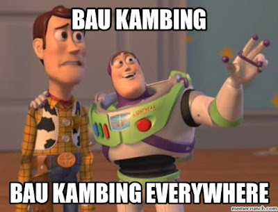 11 Meme Lucu Bikin Ngakak Curhatan Kambing Jelang Eksekusi