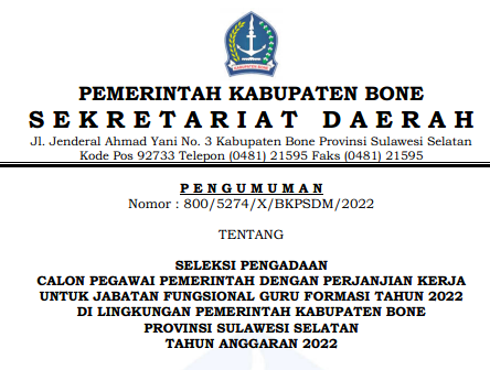 Rincian Formasi ASN PPPK Kabupaten Bone Tahun 2022