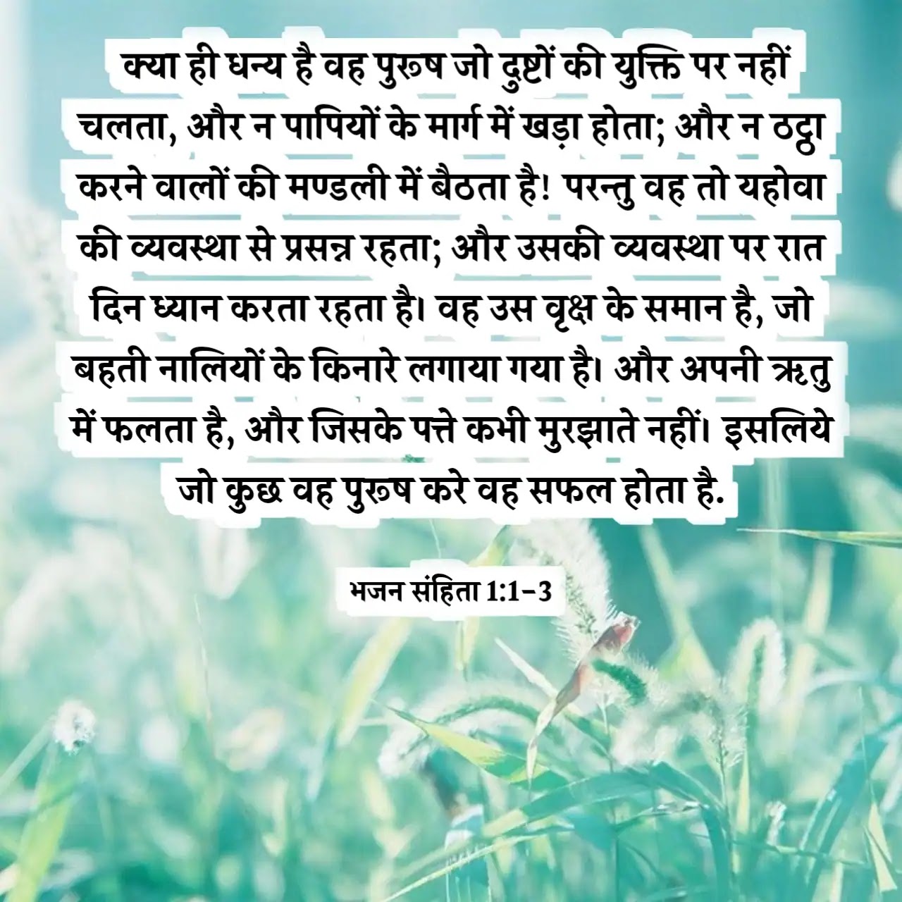 Hindi Bible Vachan Image