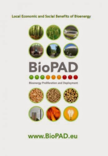Study Of The Local Economic And Social Benefits Of Bioenergy