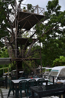 wooden zip line platform