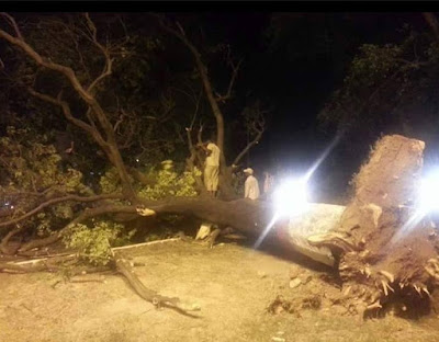 Heavy Storm In Islamabad - Geogossips