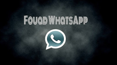 FM WhatsApp v8.70 Apk
