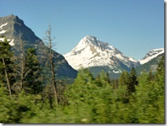 GNP