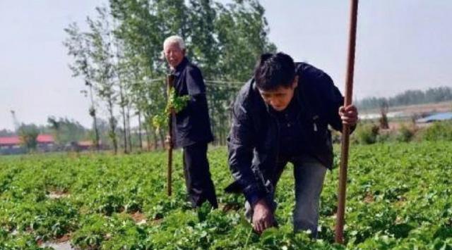 Pelaku Tabrak Lari Rela Jadi Petani, Cari Biaya untuk Korban