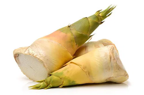 Bamboo Shoot