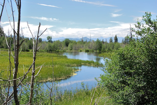 Grand Teton National Park
