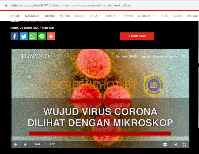 Gambar virus corona Asli