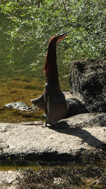 Parque Nacional Iguazú