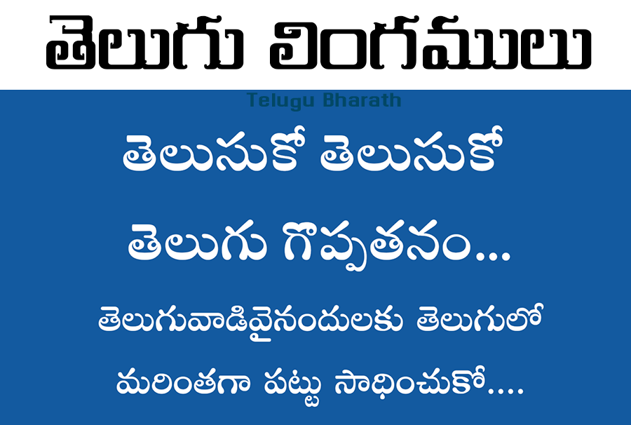 తెలుగు లింగములు రకాములు | Telugu Lingamulu