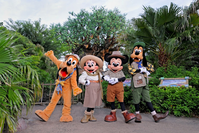 Animal Kingdom Disney Melhores Parques