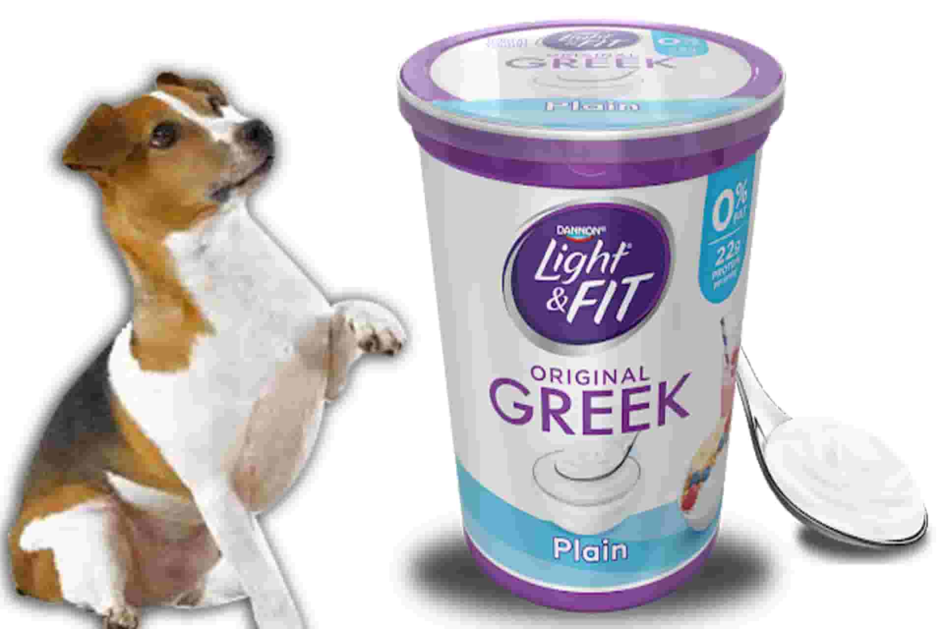 [2021] Can Dogs Eat Yogurt | Is Yogurt Safe for Dogs