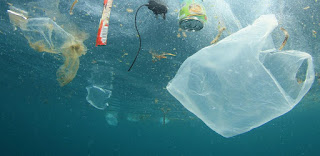 el peligro del plastico en el mar