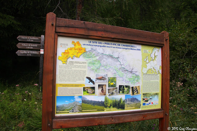 Sous la station de Réallon se trouve le site du Piolit - Pic de chabrière classé Natura 2000