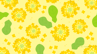 【菜の花】春の花のシンプルかわいいイラストPC壁紙・背景