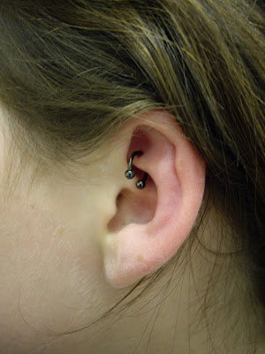 Rook piercing with our very popular Blackline jewellery