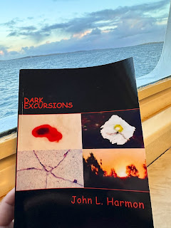 The book Dark excursions, the complete set, by John L. Harmon is being held on a boat, with the ocean, a cloudy sky and distant land behind it.